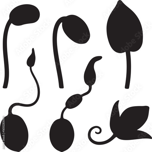 Seedling growth stages black silhouettes sprout plant
