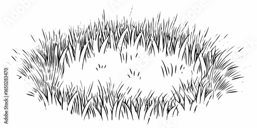 Vector illustration of a clump of grass with detailed blades in a circular arrangement on white background