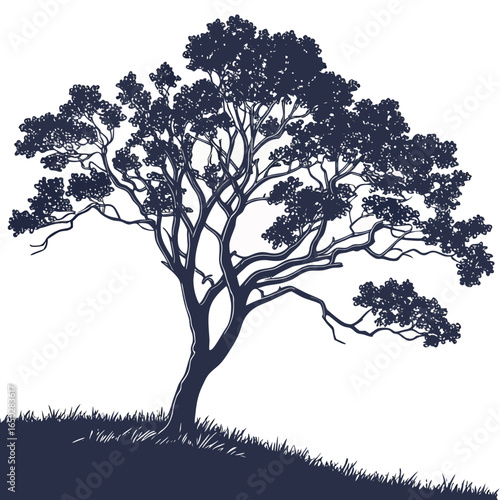 Stylized silhouette of a mature tree with intricate branches and lush foliage against a white background