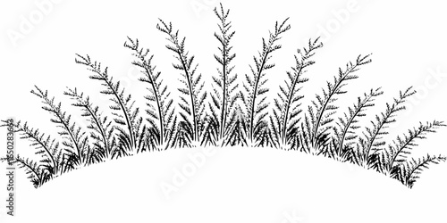 Vector black and white illustration of a semi circle of grass and plants in a symmetrical arrangement