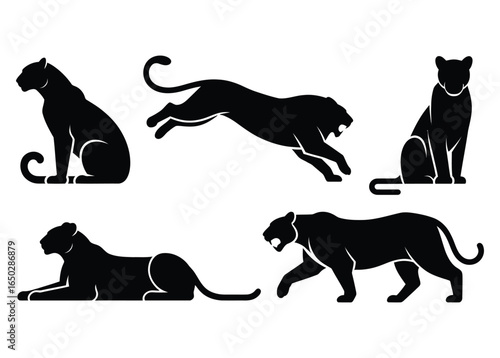 Vector collection of black panther silhouettes showcasing various predatory poses