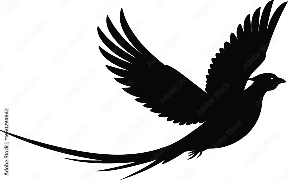 Fototapeta premium Flying Pheasant Silhouette Vector for Nature Clipart and Wildlife Illustration