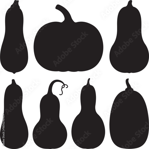 Various gourds and pumpkins squash autumn