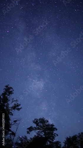 Milky way galaxy moving across night sky with silhouette of trees