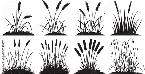 Wheat stalks cattails and reeds grass