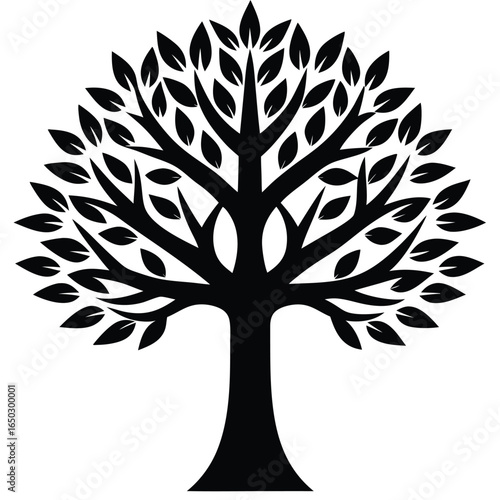 beech tree vector icon