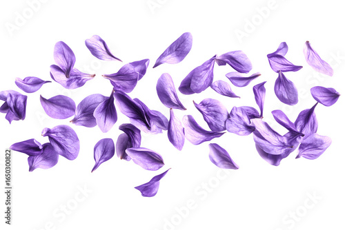 Beautiful lavender flower petals are floating in the air