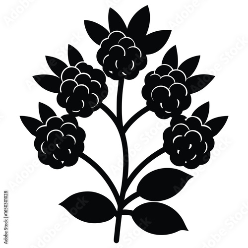 blackberry bush vector icon