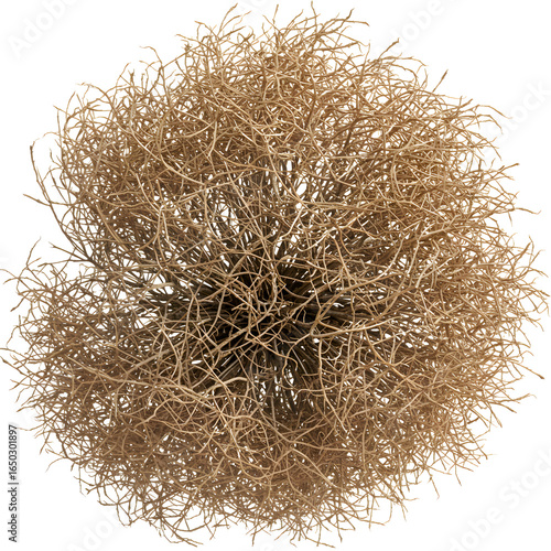 Dramatic tumbleweed, symbol of western resilience and arid landscapes, perfect for creative projects