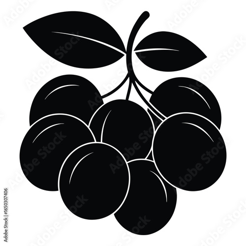 Silhouette of a black plum cluster on a white background