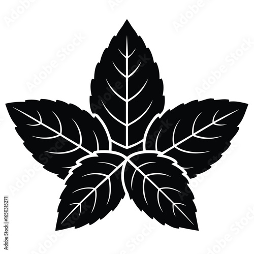 mint leaves vector icon