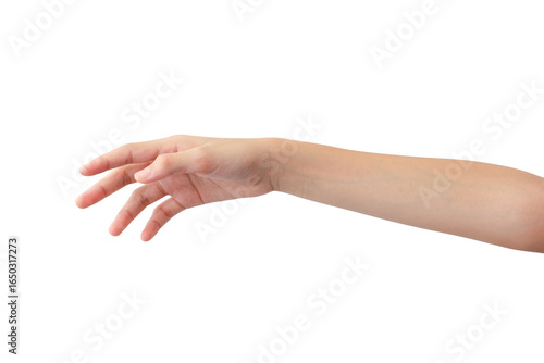young woman's hands in beautiful poses on white background