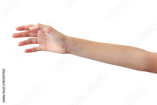 young woman's hands in beautiful poses on white background