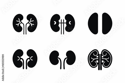 set of Kidney icon vector silhouette illustration isolated on white background