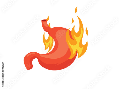 Human stomach burns, unhealthy stomach acid reflux