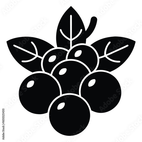 thanksgiving cranberry vector icon