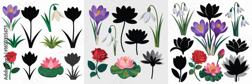 Colorful Floral Set Crocus, Snowdrops, Roses, Water Lilies with Silhouettes on a White Background