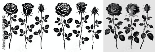 Rose Silhouettes Black, White, and Gray Floral Designs for Art and Crafts