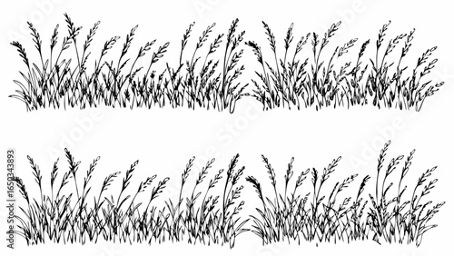 Vector illustration of two rows of hand drawn grass blades in black ink on a white background forming borders