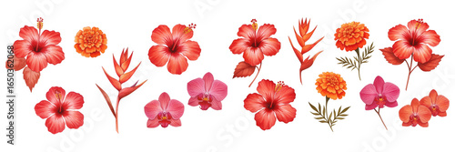 Vibrant collection of tropical flowers featuring hibiscus, orchids, and marigolds in shades of red and pink.