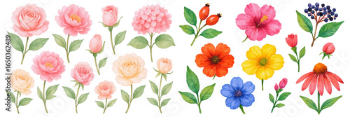 A vibrant array of colorful floral illustrations perfect for design projects.