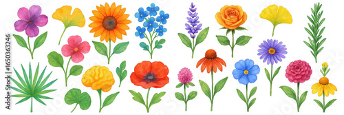 A vibrant collection of colorful flowers in various shapes and sizes, showcasing nature's beauty.