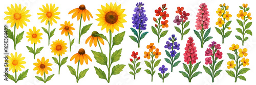 Colorful assortment of flowers in shades of yellow, purple, and red, creating a vibrant garden feel.