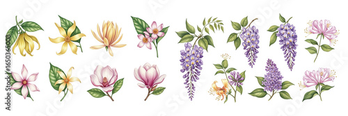 A vibrant collection of hand-drawn flowers in various colors and styles, showcasing nature's beauty.