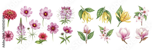 A vibrant collection of colorful flowers with various shapes and sizes, perfect for floral design.