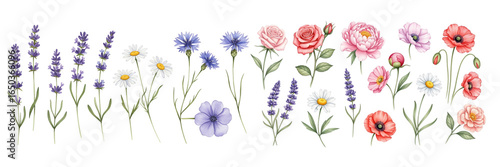 A beautiful array of hand-drawn flowers in various colors, showcasing nature's beauty.