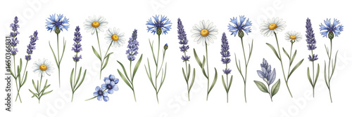 A vibrant arrangement of various wildflowers in blue and white hues, perfect for spring decor.