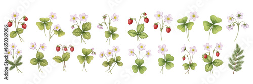 A vibrant collection of strawberries and flowers, showcasing nature's beauty and bounty.
