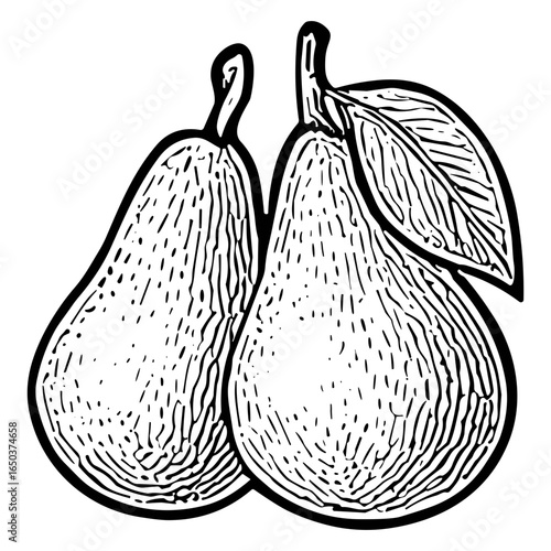 Pear Bunch