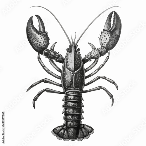 Geometric Low Poly Lobster Vector Illustration