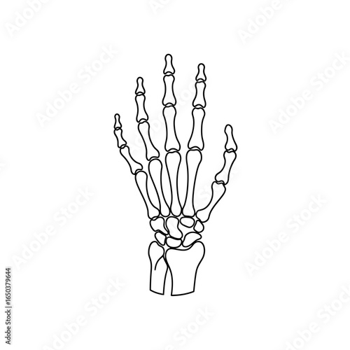 A detailed illustration of a human hand skeleton, rendered in black and white.