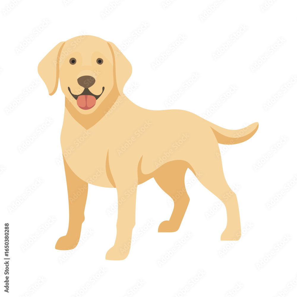 Simple dog illustration. Vector. labrador-retriever. Simple dog illustration. Vector. labrador-retriever.