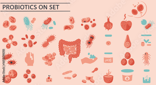 Vector illustration set of probiotics and gut health icons. Collection of beneficial bacteria, microorganisms, and digestive system elements