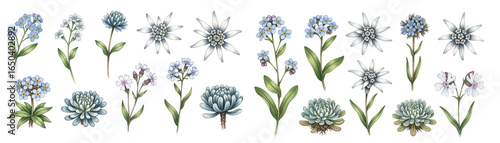 A beautiful collection of hand-drawn blue and white flowers with green leaves, perfect for spring themes.