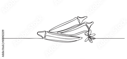 Okra pods and flower continuous line drawing vegetable food
