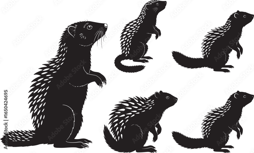 Naklejka premium Five distinct black silhouettes of porcupines in various poses on a white background silhouette