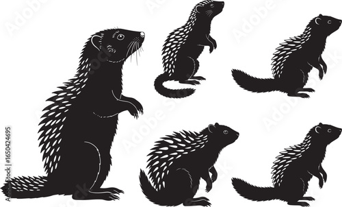 Five distinct black silhouettes of porcupines in various poses on a white background silhouette