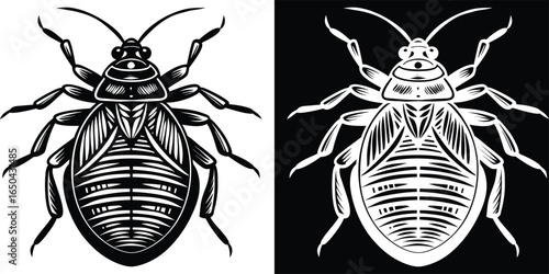 Striking beetle design in black and white ready to use in your next professional project quickly now