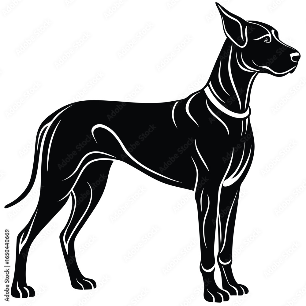 Fototapeta premium Great Dane Silhouette