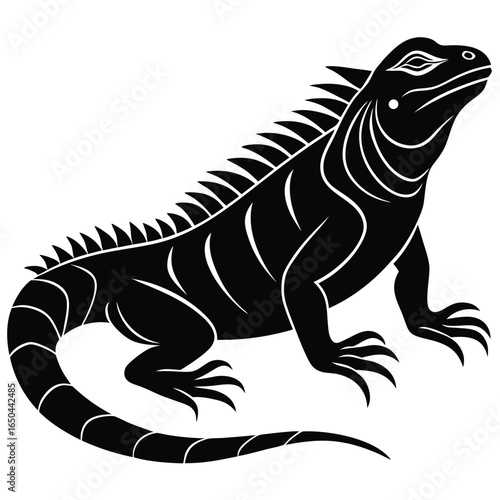 Wallpaper Mural Iguana Silhouette Torontodigital.ca