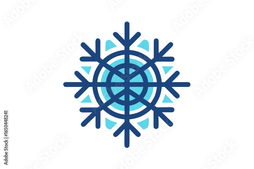 Snowflake with embedded globe showing winter environmental awareness