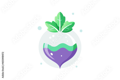 turnip with frost dusted leaves and winter garden feel