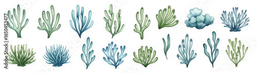 A vibrant collection of coral illustrations showcasing various shapes and colors.