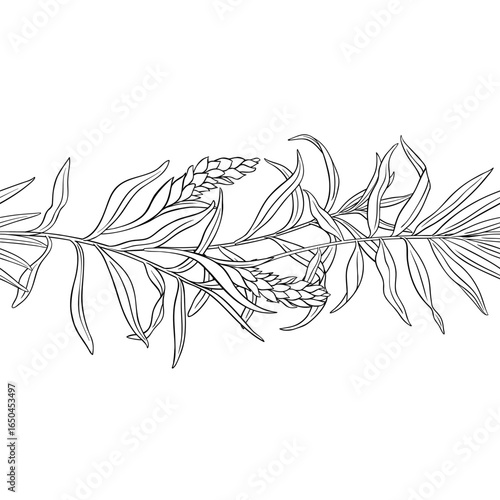 Ginger Branch with Flowers, Roots and Leaves Outline Horizontal Seamless Pattern. Organic natural nutritional healthy food ingredient, vegetarian diet product. Vector isolated for design or decoration
