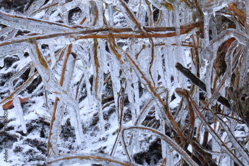 Fotografie Frozen splash ice on shoreline in natural winter environment