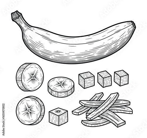 Hand drawn vintage vector illustration of whole and cut bananas, engraving design style.